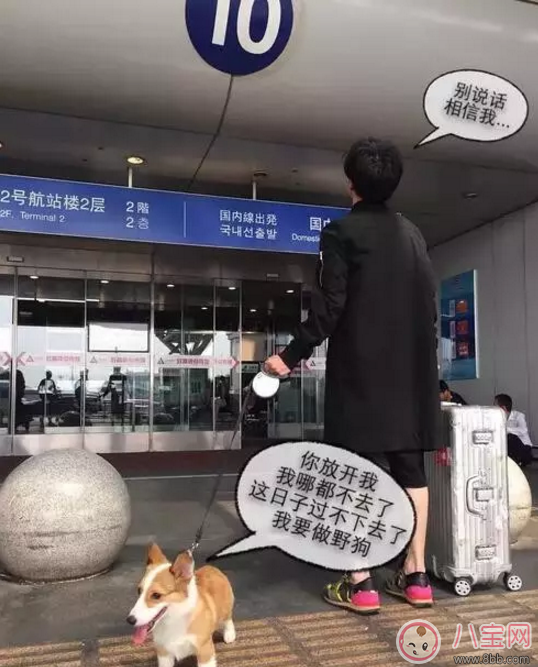 人生巔峰的薛之謙為什么把所有的一往情深都給了同一個(gè)人？