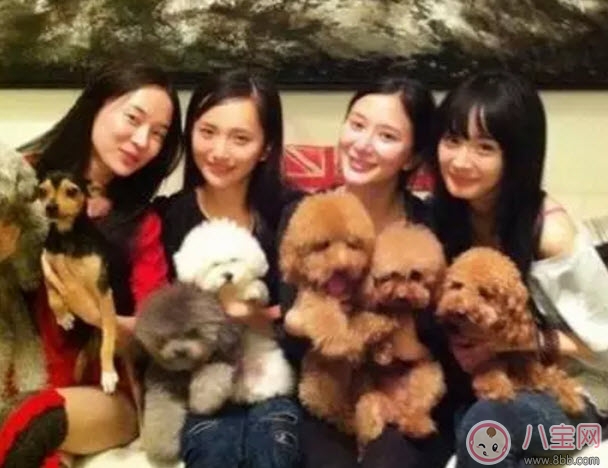 塑料姐妹花永遠(yuǎn)不分家?塑料花友誼什么意思 娛樂圈那些塑料花姐妹友誼