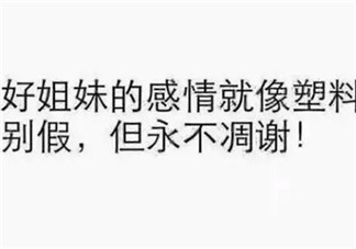塑料姐妹花永遠(yuǎn)不分家?塑料花友誼什么意思 娛樂(lè)圈那些塑料花姐妹友誼