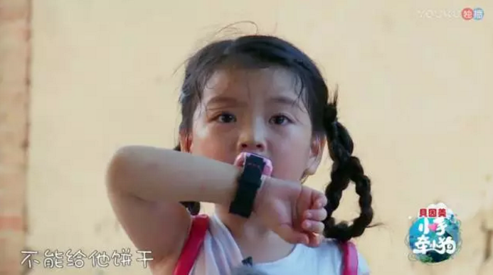 《小手牽小狗》羅志祥帶了幾位萌娃？阿拉蕾的表現(xiàn)怎么樣