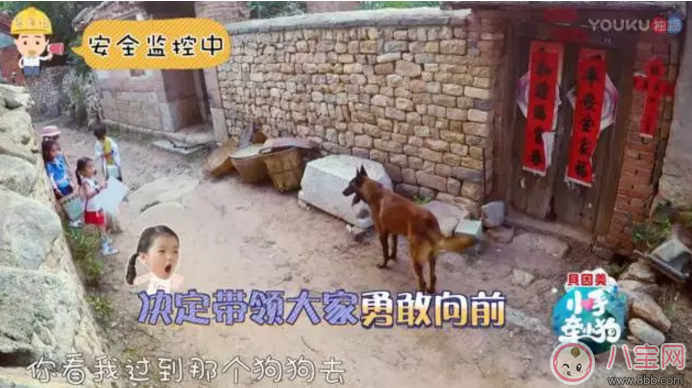 《小手牽小狗》羅志祥帶了幾位萌娃？阿拉蕾的表現(xiàn)怎么樣