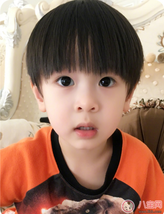 《爸爸去哪兒》吳尊寶貝max正面照 max正臉高清圖片