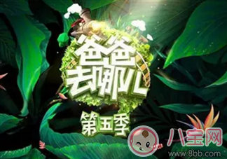 《爸爸去哪兒》周杰倫女兒干爹劉畊宏是嘉賓 能看到周杰倫嗎？