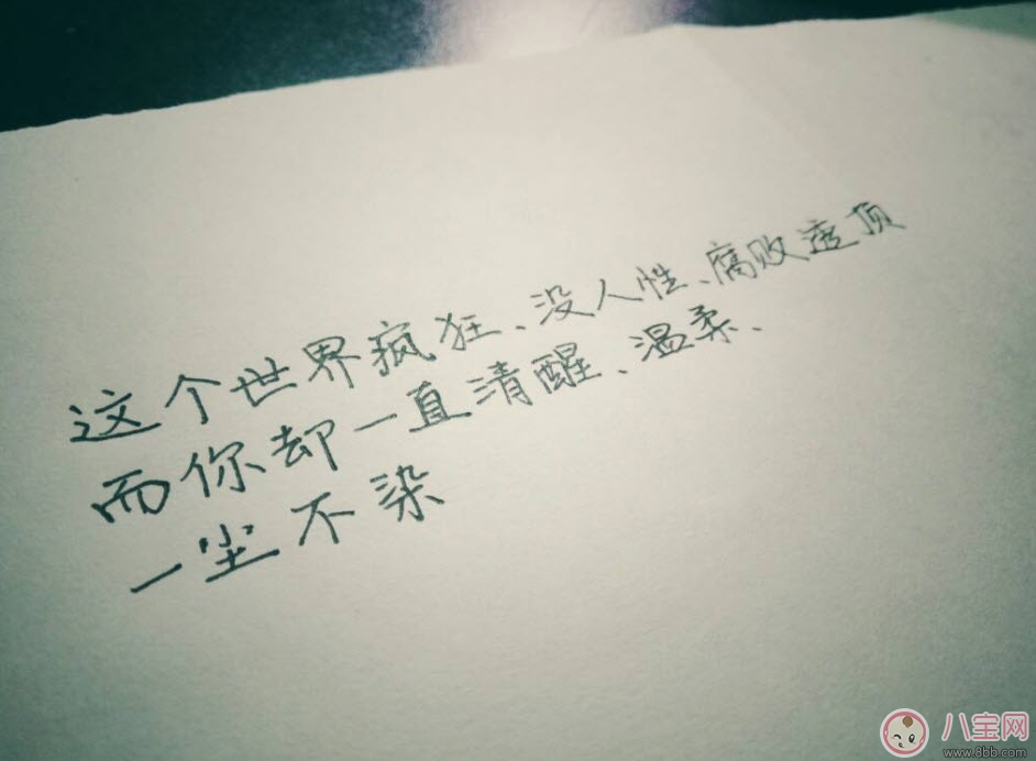 貓的情書(shū)溫清歡txt下載書(shū)包網(wǎng)全文閱讀 貓的情書(shū)在線閱讀完結(jié)版