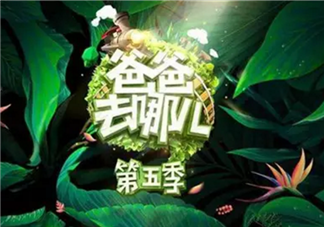 《爸爸去哪兒》周杰倫女兒干爹劉畊宏是嘉賓 能看到周杰倫嗎？