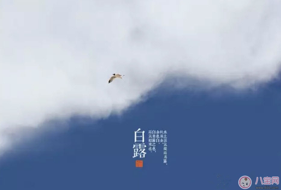 白露節(jié)氣怎么養(yǎng)生 白露時節(jié)有哪些飲食的禁忌