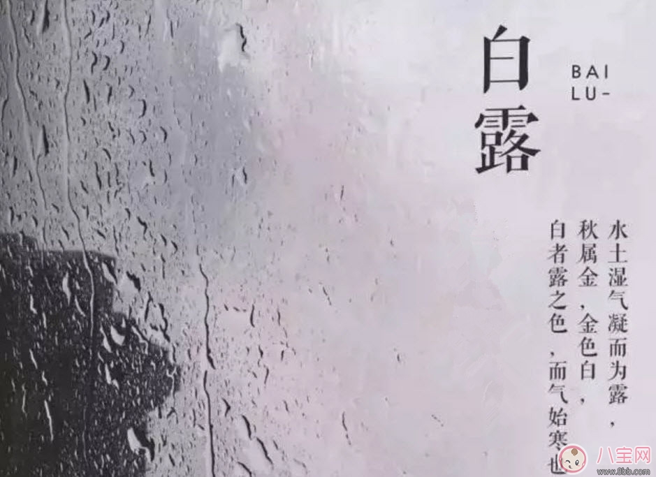 白露節(jié)氣怎么養(yǎng)生 白露時節(jié)有哪些飲食的禁忌