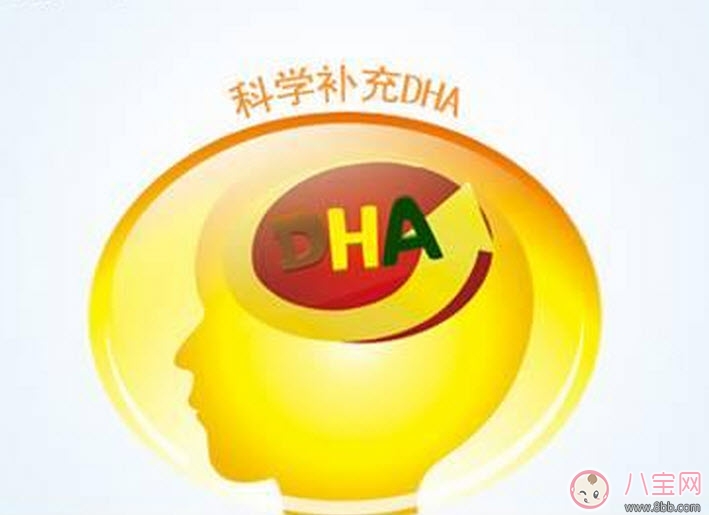 孕婦有必要補充dha嗎 孕婦怎么補充dha