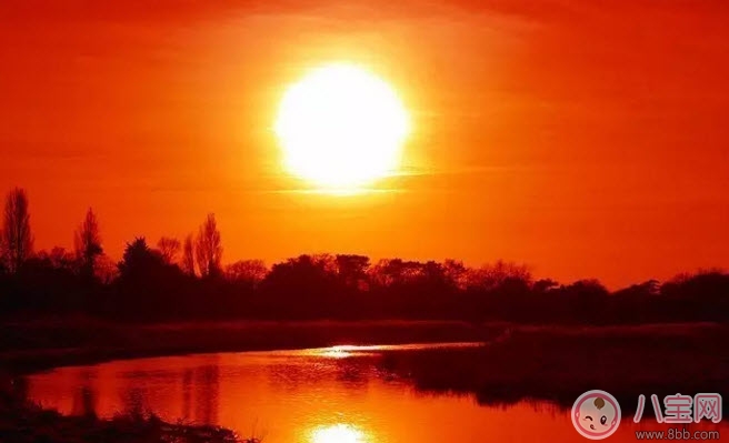 孩子手腳冰涼是怎么回事 手腳冰涼吃什么食物好