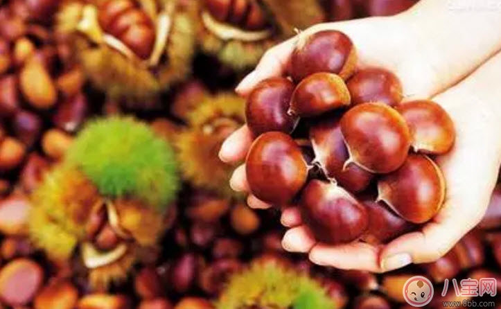 孕婦能吃生板栗嗎 孕婦吃糖炒栗子有哪些好處 孕婦能吃生板栗嗎 孕婦吃糖炒栗子有哪些好處