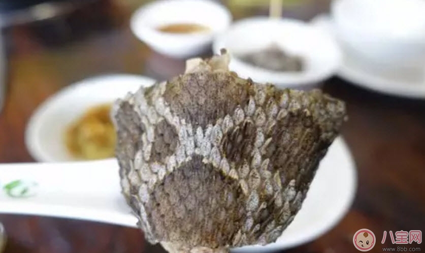 孕婦能吃蛇肉嗎產(chǎn)婦能吃蛇肉嗎 吃蛇肉有哪些危險注意事項