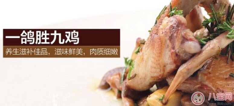 孕婦可以吃鴿子肉嗎 孕婦喝鴿子湯的營養(yǎng)好處