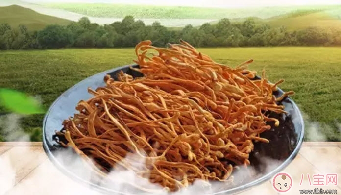 孕婦可以喝蟲草花煲湯嗎 懷孕可蟲草花燉雞孕婦能吃嗎