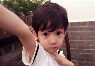 小包總楊爍兒子小毛驢照片 楊爍兒子小毛驢多大了