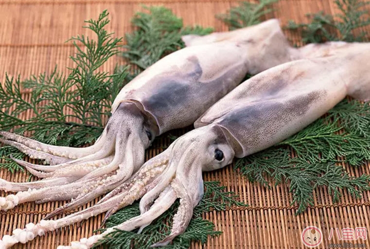 孕婦魷魚(yú)可以吃嗎 孕婦吃魷魚(yú)有哪些好處 孕婦魷魚(yú)可以吃嗎 孕婦吃魷魚(yú)有哪些好處