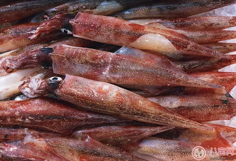 孕婦魷魚(yú)可以吃嗎 孕婦吃魷魚(yú)有哪些好處 孕婦魷魚(yú)可以吃嗎 孕婦吃魷魚(yú)有哪些好處