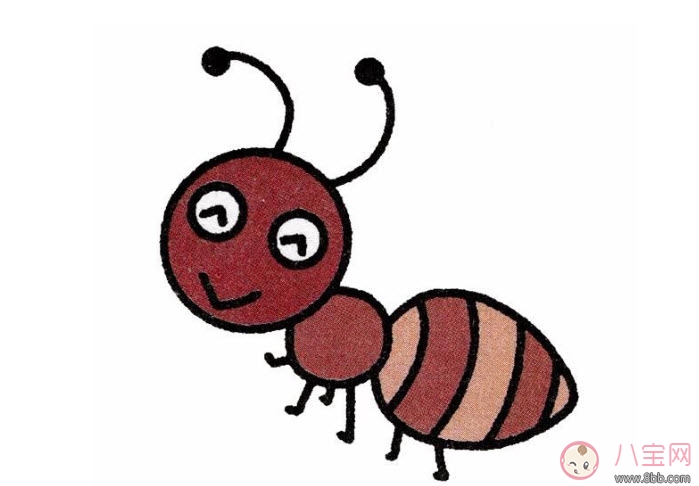 螞蟻腰身材標(biāo)準(zhǔn) blackpink rose螞蟻腰腰圍是多少