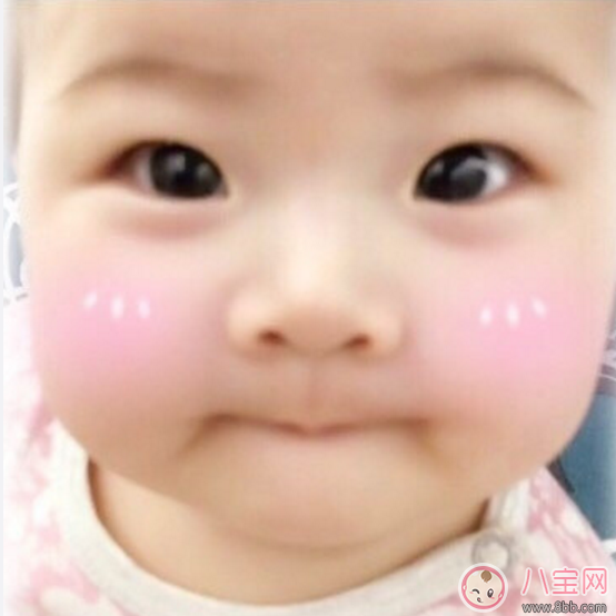 賀軍翔女兒基因強(qiáng)大 賀軍翔老婆是誰