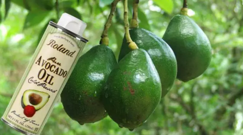 Roland 羅朗德核桃油&牛油果油 寶寶孕媽都愛吃的植物油 Roland 羅朗德核桃油&牛油果油 寶寶孕媽都愛吃的植物油