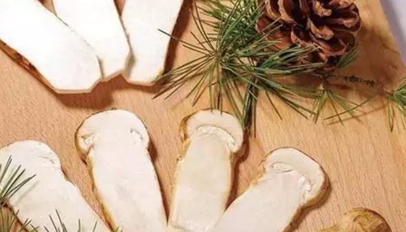 孕婦可以吃松茸嗎 適合孕婦的松茸做法