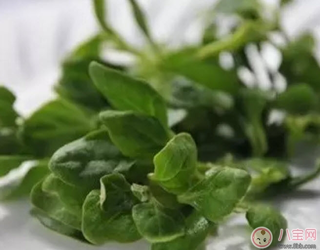 孕初期可以吃涼菜嗎 孕婦可以吃外面賣的涼拌菜嗎