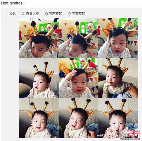 陳冠希現(xiàn)身日本變曬娃狂魔 給孩子拍照怎么拍好