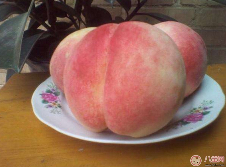 孕婦可以吃毛桃嗎 孕婦吃毛桃有什么功效