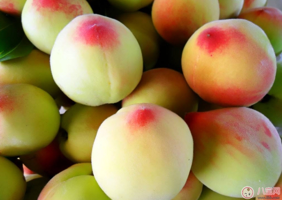 孕婦可以吃毛桃嗎 孕婦吃毛桃有什么功效