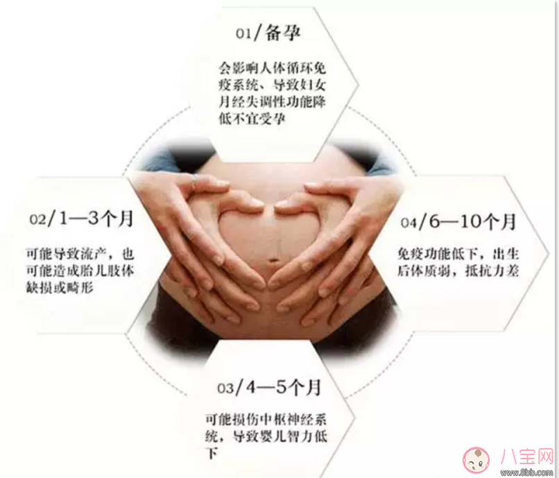 樂朵抗射線防輻射服 地鐵安檢全能防 適合所有孕媽和要備孕的妞們！