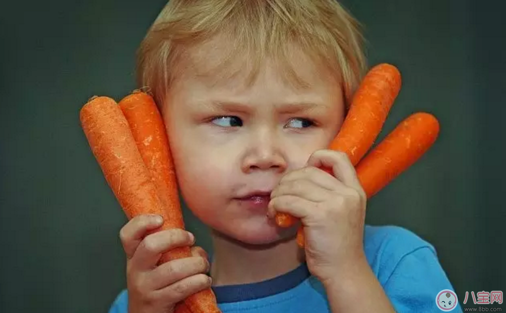 秋季寶寶飲食推薦   胡蘿卜營養(yǎng)又美味
