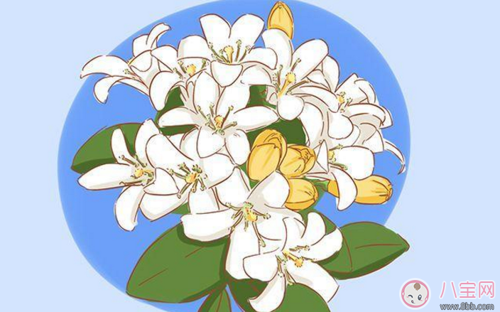 探望寶寶的送什么好 送孩子?xùn)|西這些要避開