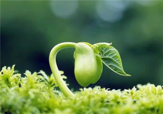 婆婆干涉教育孩子怎么辦 遵循原則解難題