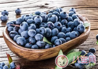藍莓輔食營養(yǎng)高 如何給寶寶吃