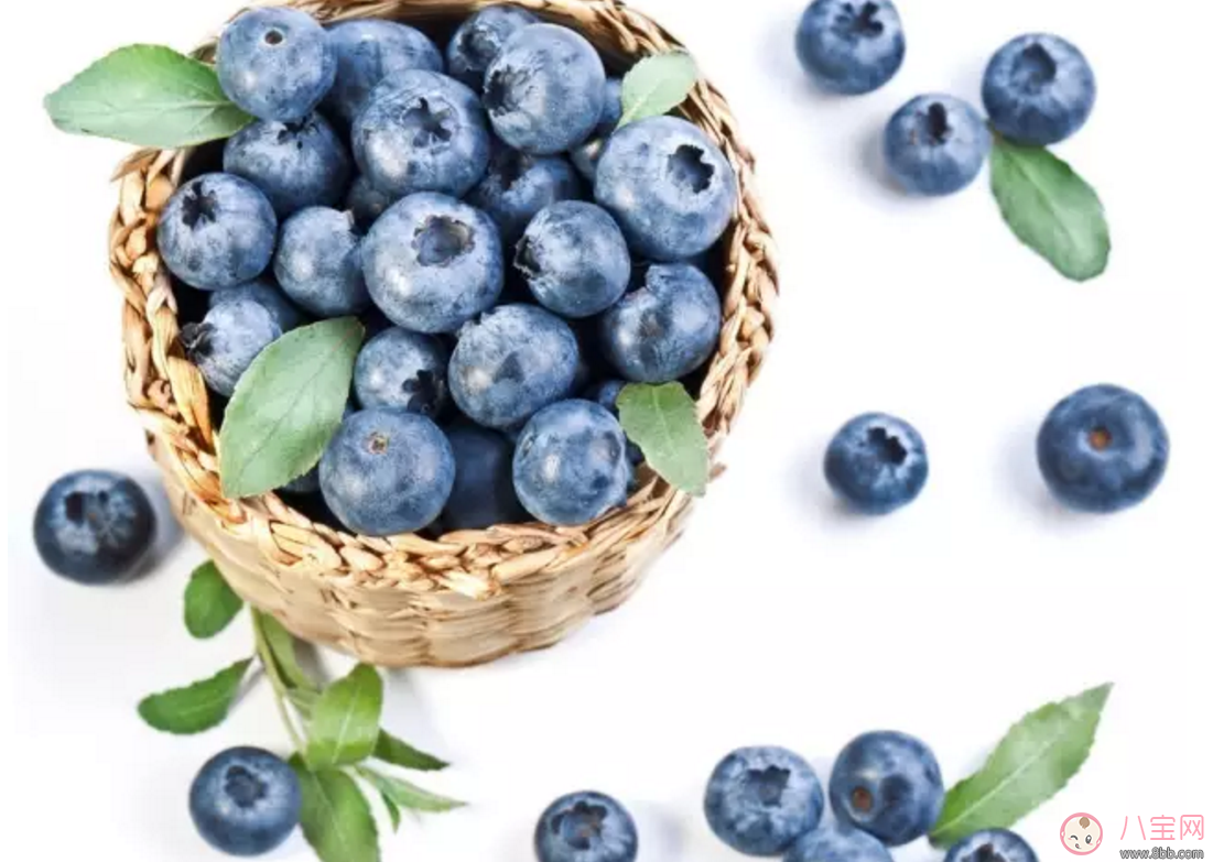藍莓輔食營養(yǎng)高 如何給寶寶吃