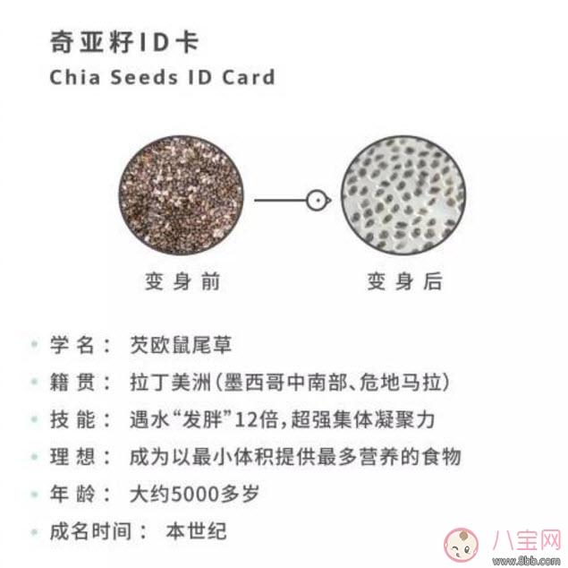 奇亞籽孕婦能吃嗎 孕婦吃奇亞籽的好處壞處有哪些