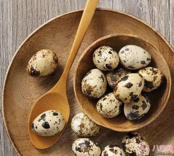 孕婦吃鵪鶉蛋會長斑嗎 孕婦鵪鶉蛋每天吃幾個(3-4個)