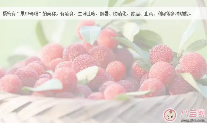 孕婦可以吃新鮮楊梅嗎 孕婦吃楊梅注意事項(xiàng)