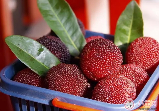 孕婦可以吃新鮮楊梅嗎 孕婦吃楊梅注意事項(xiàng)