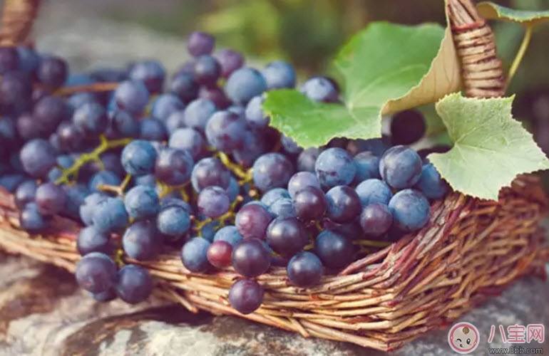孕婦每天可以吃多少葡萄 懷孕吃葡萄有什么好處