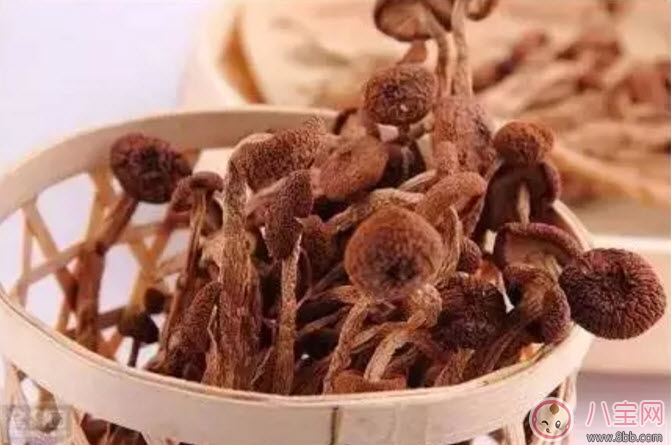 茶樹(shù)菇老鴨湯孕婦能喝嗎 孕婦可以喝茶樹(shù)菇老鴨湯嗎