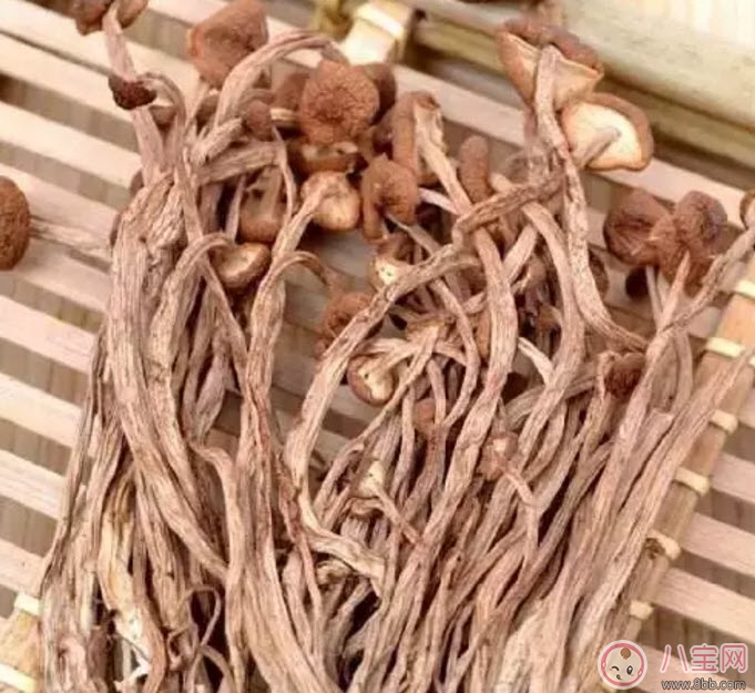 茶樹(shù)菇老鴨湯孕婦能喝嗎 孕婦可以喝茶樹(shù)菇老鴨湯嗎
