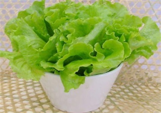 寶寶愛(ài)吃生菜怎么做 寶寶最適合吃的生菜做法