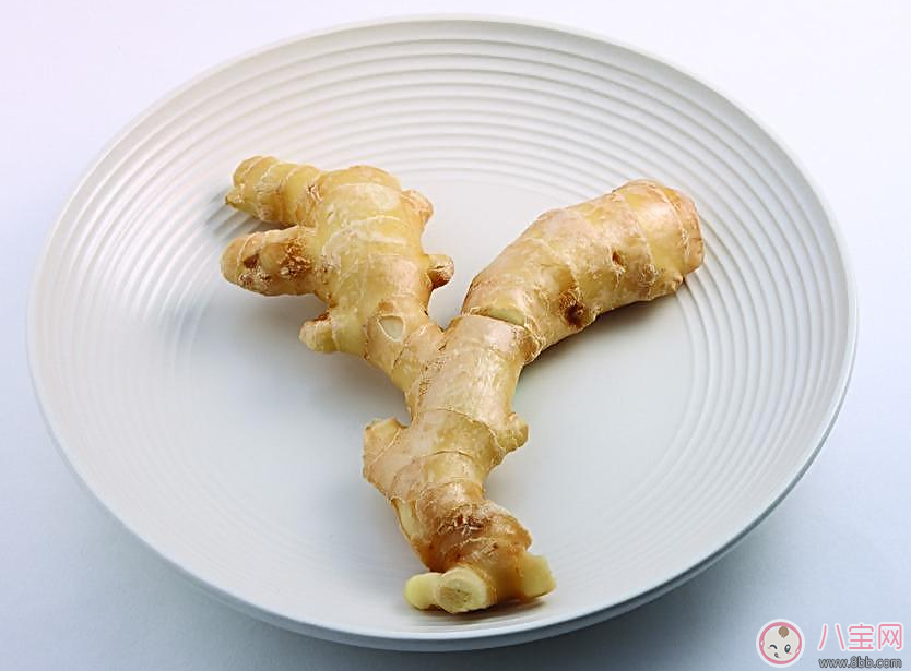 小小生姜好處多 生姜的用處知多少 小小生姜好處多 生姜的用處知多少