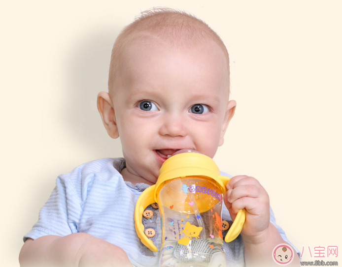 2017奶瓶什么牌子的最好 2017奶瓶排行榜前五