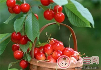 櫻桃營(yíng)養(yǎng)價(jià)值高 寶寶如何正確的食用櫻桃