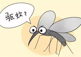 夏天寶寶驅(qū)蚊方法大全 寶寶驅(qū)蚊成分哪種安全有效