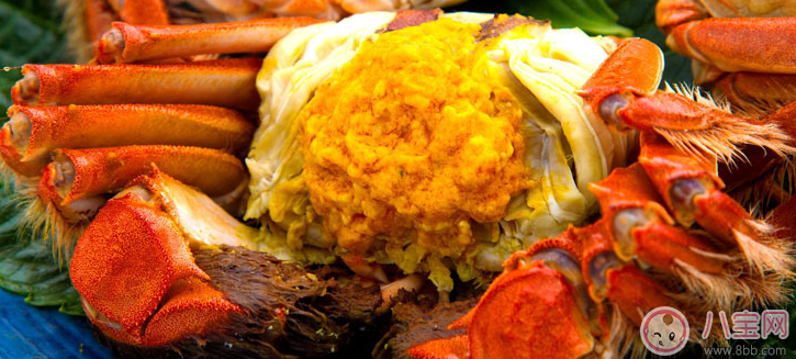 八個(gè)月寶寶可以吃蟹黃嗎 蟹黃怎么給寶寶吃 八個(gè)月寶寶可以吃蟹黃嗎 蟹黃怎么給寶寶吃