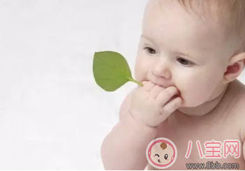 2017頭伏預防痱子吃對才關(guān)鍵 適合全家人的防痱食譜合集