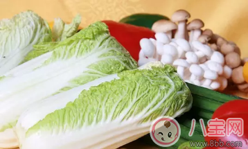 2017三伏天適合小寶寶的蔬菜輔食蔬菜汁合集