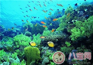 2017三伏天帶寶寶旅行應(yīng)如何準(zhǔn)備 親子旅行必帶藥品清單 